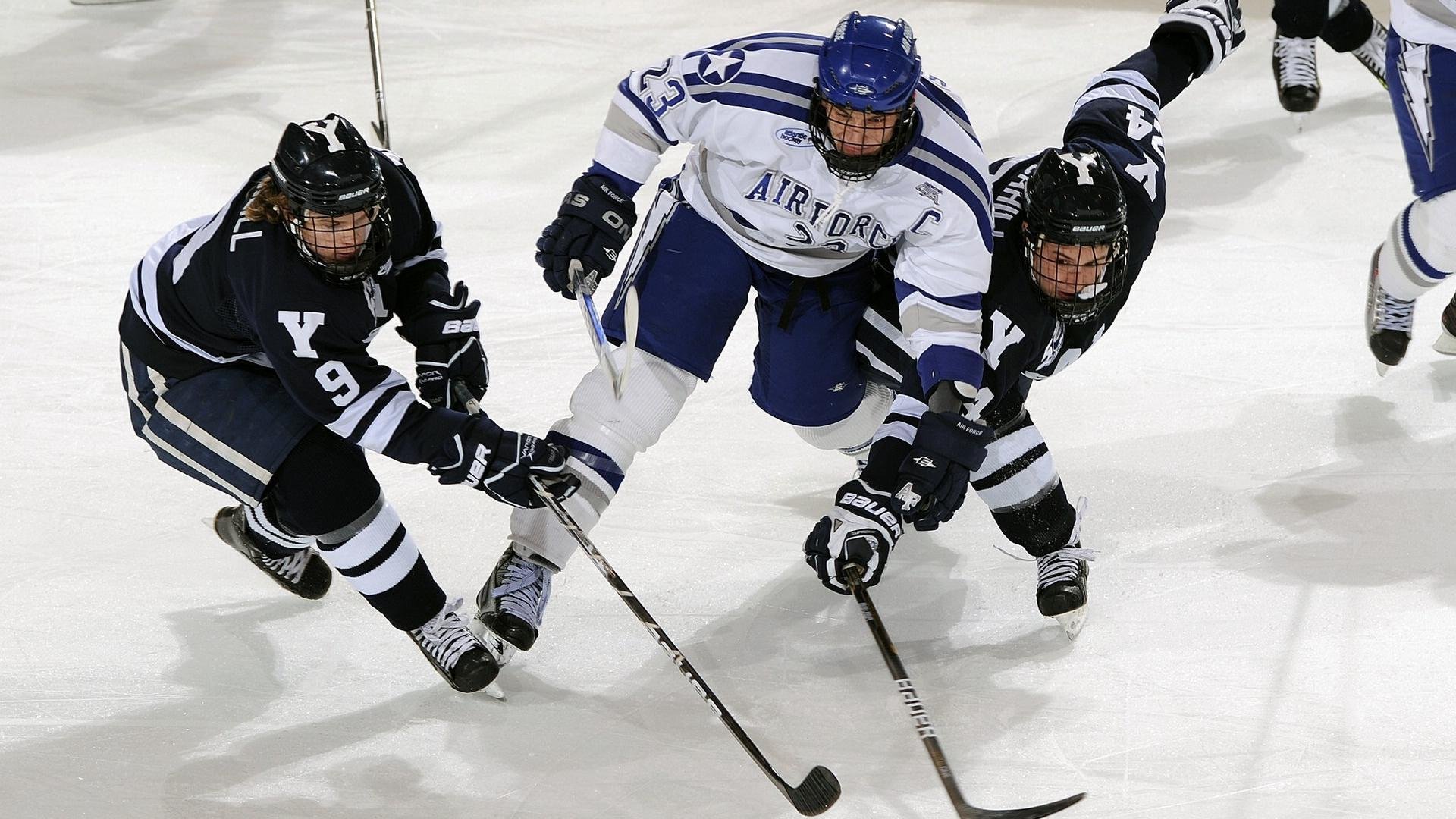 随机世界桥牌锦标赛，智者的巅峰对决，世界桥牌大赛