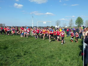 开云官网在线-体育新闻中心参与制定青少年体育内容发布规范，青少年体育刊物