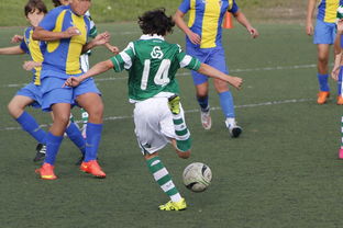 开云官方网页登录-国际足球协会推动足球全民普及，青少年参与度飙升，各国青少年足球注册人口